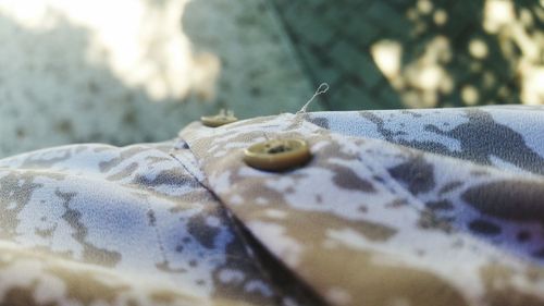 Close-up of plant against blurred background