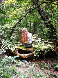 Rear view of woman sitting by tree in forest