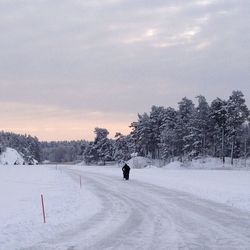 Scenic view of snow covered field