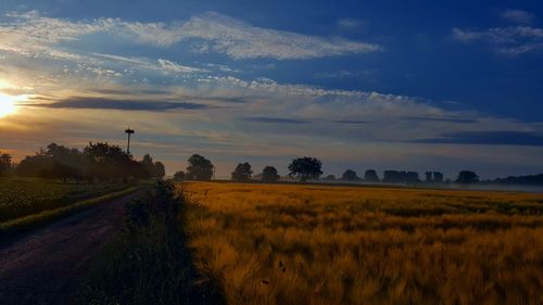 Scenic view of field against sky during sunset