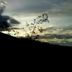 Silhouette of trees on field against cloudy sky