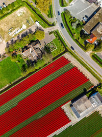 bird's-eye view