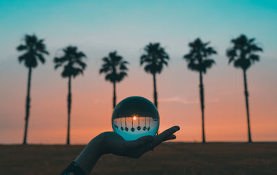 Person holding ball against trees during sunset