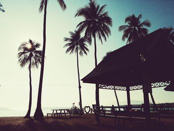 Silhouette trees on beach against clear sky