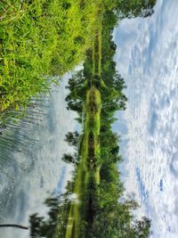 Scenic view of waterfall against sky