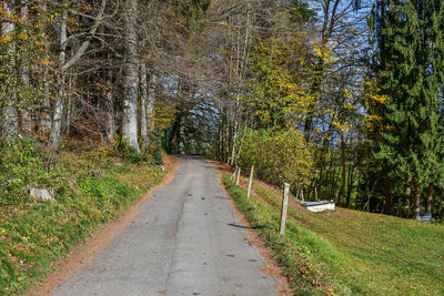 Road amidst trees in forest