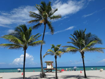 Palm trees on beach against sky