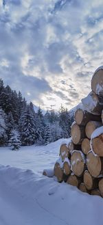 Stack of logs on snow covered land against sky