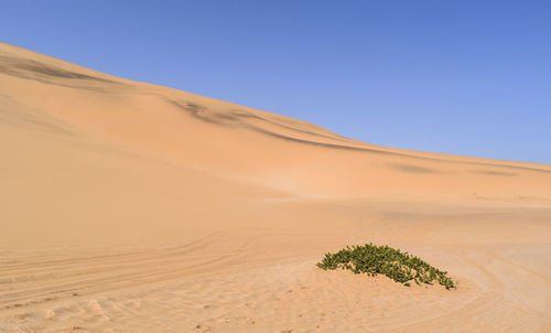 Scenic view of desert against clear blue sky