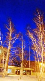 Low angle view of bare trees against clear blue sky