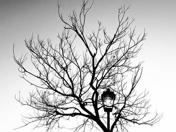 Low angle view of silhouette bare tree against clear sky