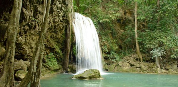 Scenic view of waterfall in forest