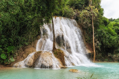 Scenic view of waterfall in forest