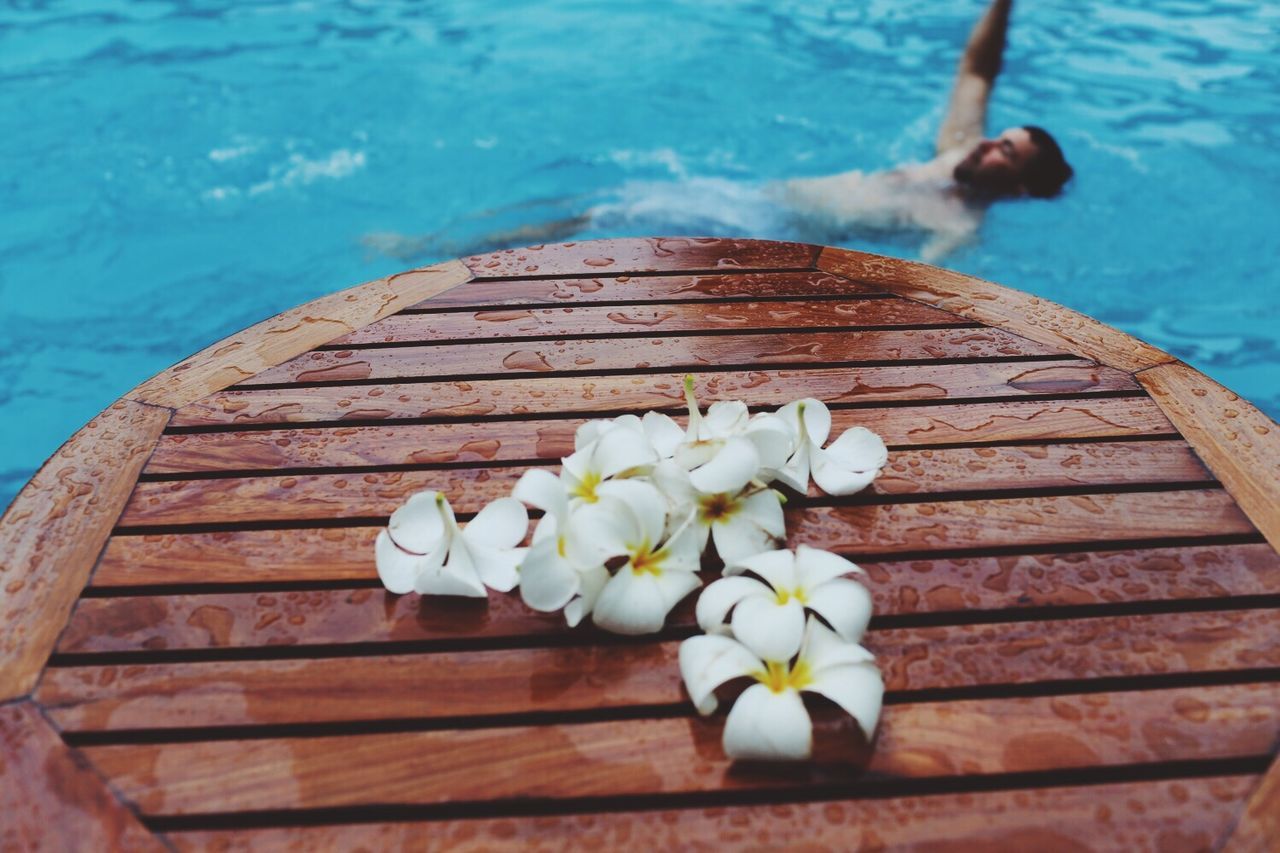 flower, freshness, wood - material, petal, fragility, white color, high angle view, wooden, flower head, nature, beauty in nature, close-up, day, wood, table, water, blue, outdoors, no people, single flower