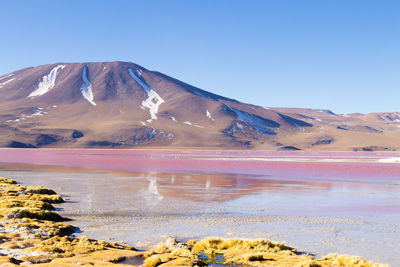 Scenic view of snowcapped mountains against clear blue sky