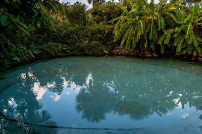 Swimming pool in lake