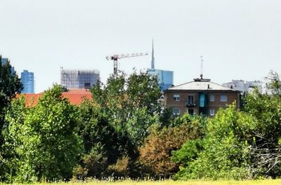 Trees and buildings against sky