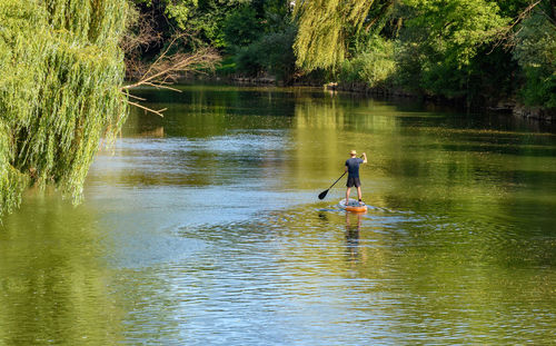 Rear view of man paddling on sup board on river.