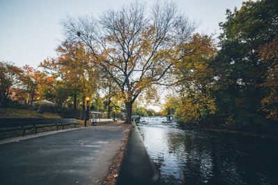 Road passing through forest