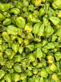 Full frame shot of hot green peppers