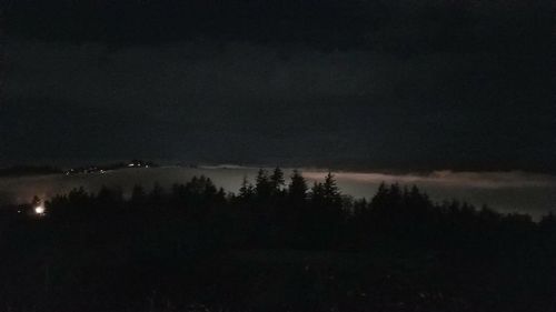 Silhouette trees in forest against sky at night