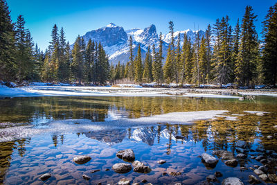 Scenic view of lake by trees against sky during winter