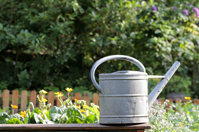 Flower pot on plants in yard