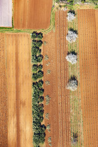 Aerial view of fertile fields in zadar region near adriatic coast