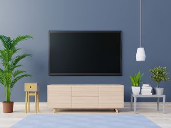 Television set with table and potted plants against wall at home
