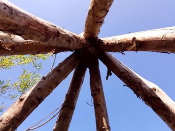 Low angle view of tree against clear blue sky