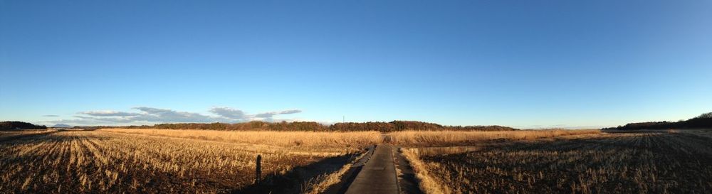 Scenic view of landscape against clear blue sky