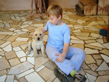 High angle view of boy with dog sitting on floor at home