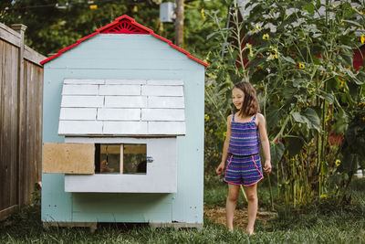 A happy little girl stands by backyard chicken coop by tall sunflowers