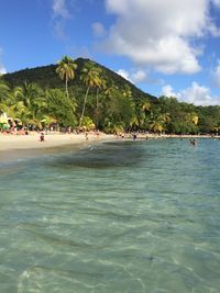 Group of people on beach