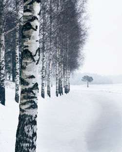 Bare trees on snow covered landscape against sky