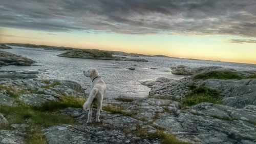 Scenic view of sea against sky at sunset