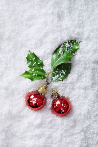High angle view of berries on snow