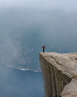Low angle view of bird perching on rock against sky