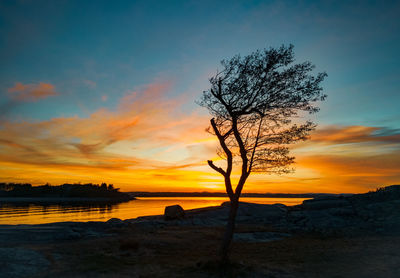 Silhouette bare tree by sea against sky during sunset