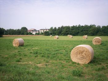 Hay bales on field