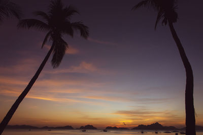 Silhouette palm tree at sunset over sea. tropical evening landscape with mountains on background.