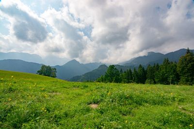 Scenic view of landscape against sky