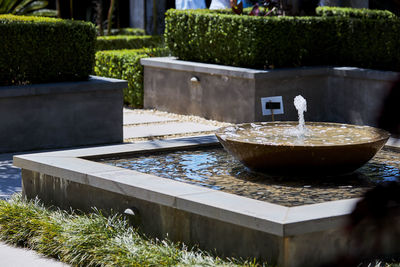 Close-up of fountain in garden