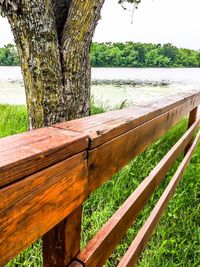 Tree trunk by river