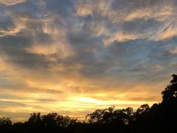 Low angle view of silhouette trees against dramatic sky