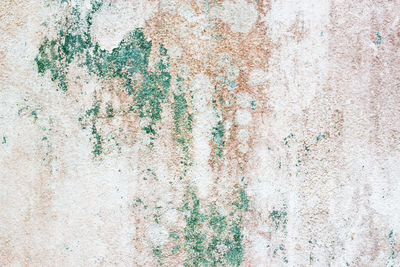 Full frame shot of weathered wall
