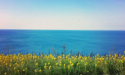 Scenic view of sea against clear blue sky