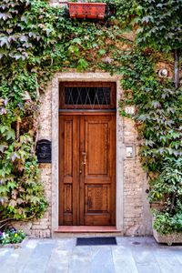 Closed door of plants