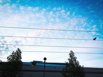 Low angle view of power cables against sky