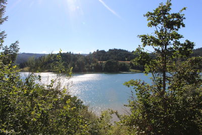 Scenic view of lake and trees against sky